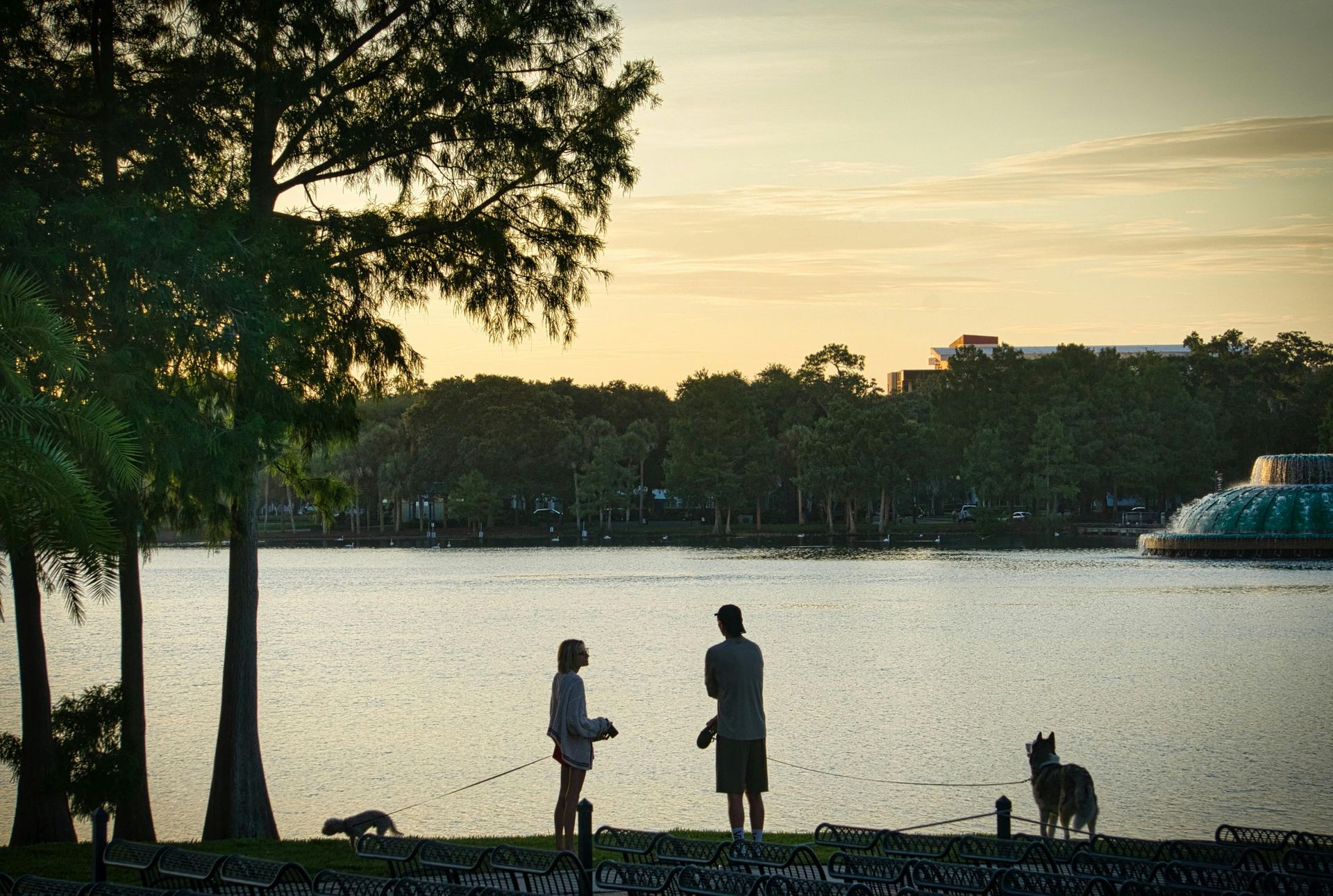Personas con un perro en un lago recortado por el sol poniente, árboles en primer plano, edificios en la distancia.