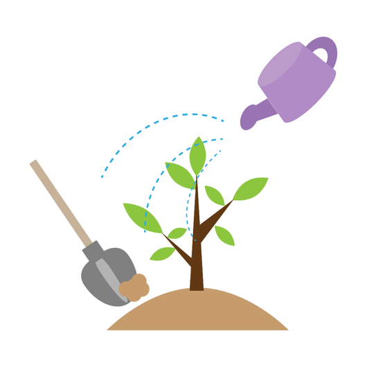 Una persona sta annaffiando un piccolo albero con un annaffiatoio.
