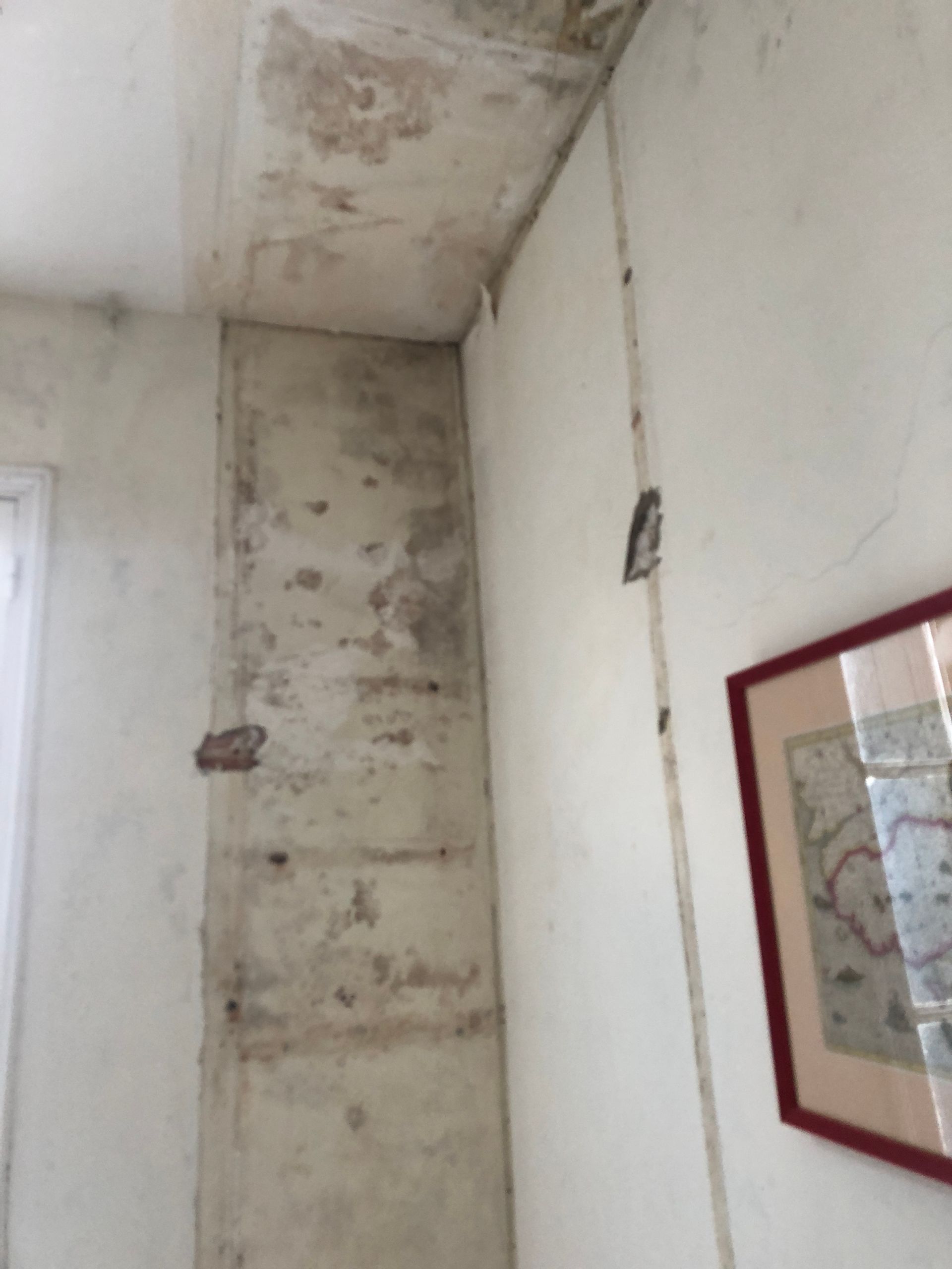 Coin d'un mur avec de la moisissure