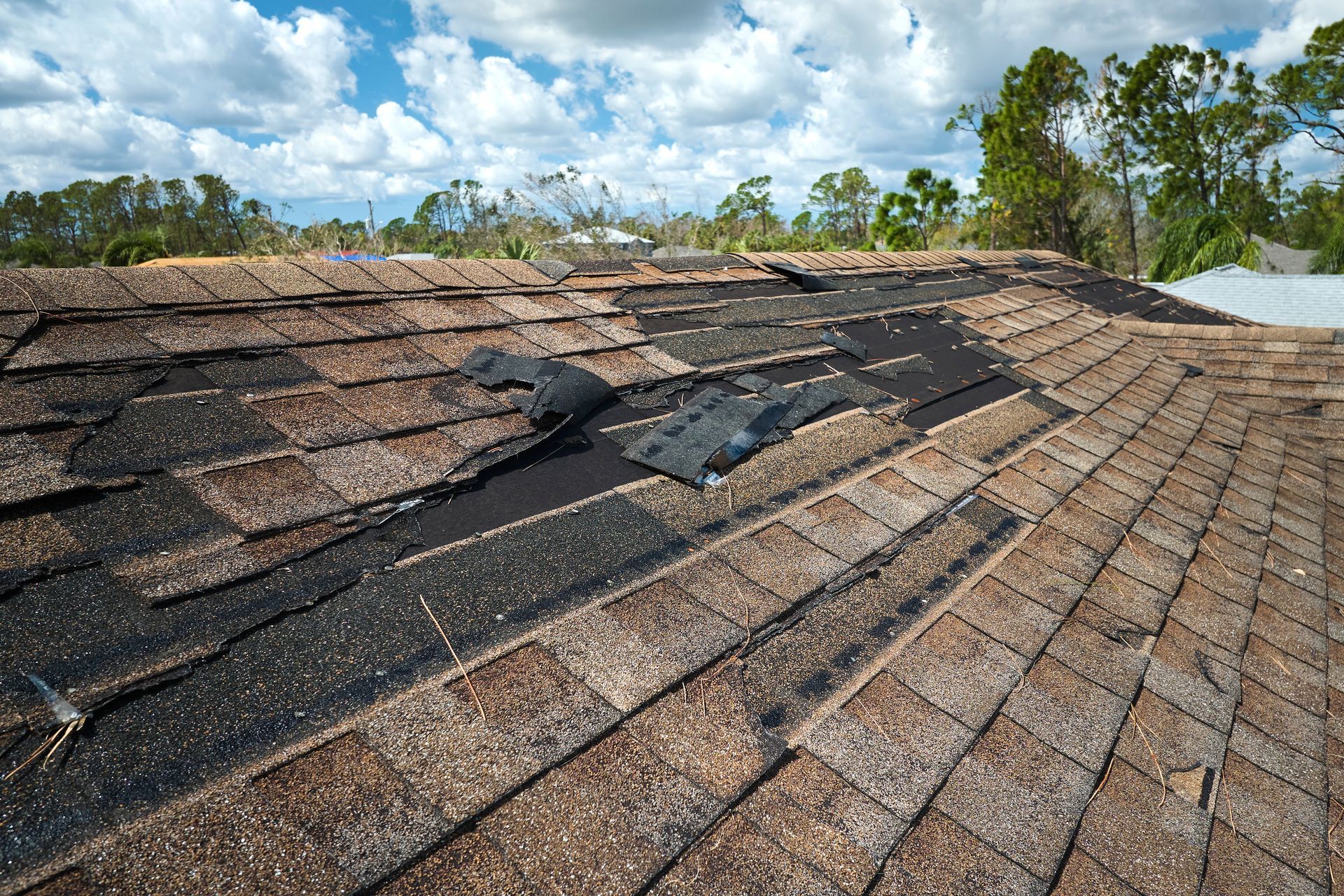 Détail d’un toit endommagé avec shingles arrachés et usure visible.