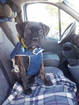 Suvimarjan Jennifer Rush 