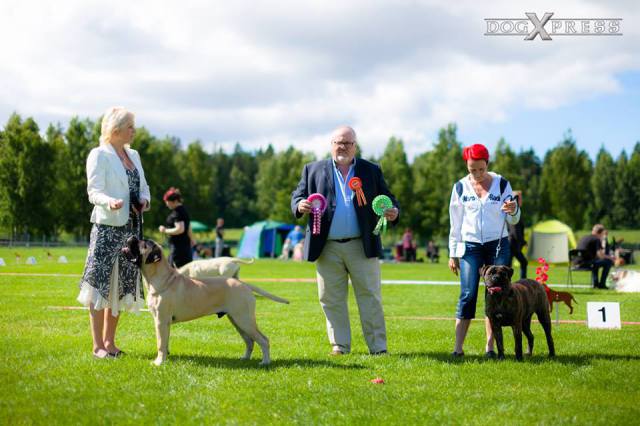 Erikoisnäyttelyssä