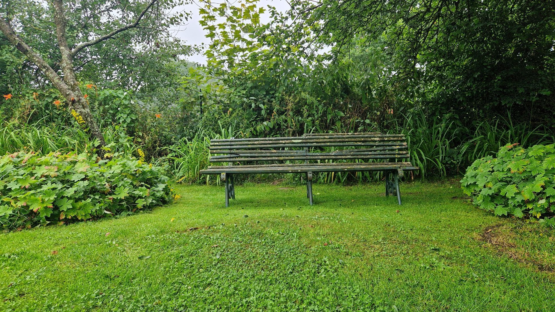 Banc extérieur avec la végétation