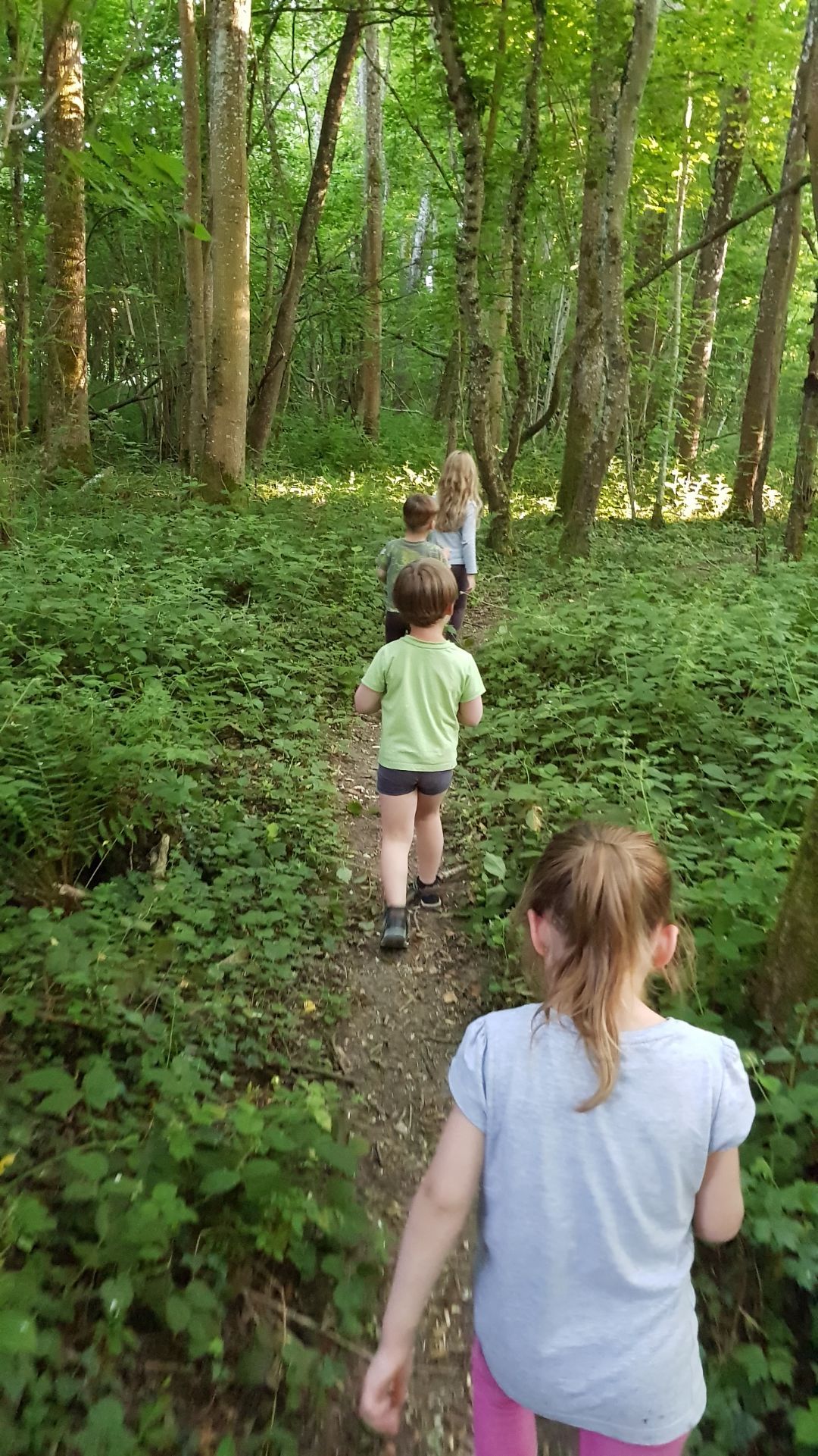 Promenade avec les enfants en forêt