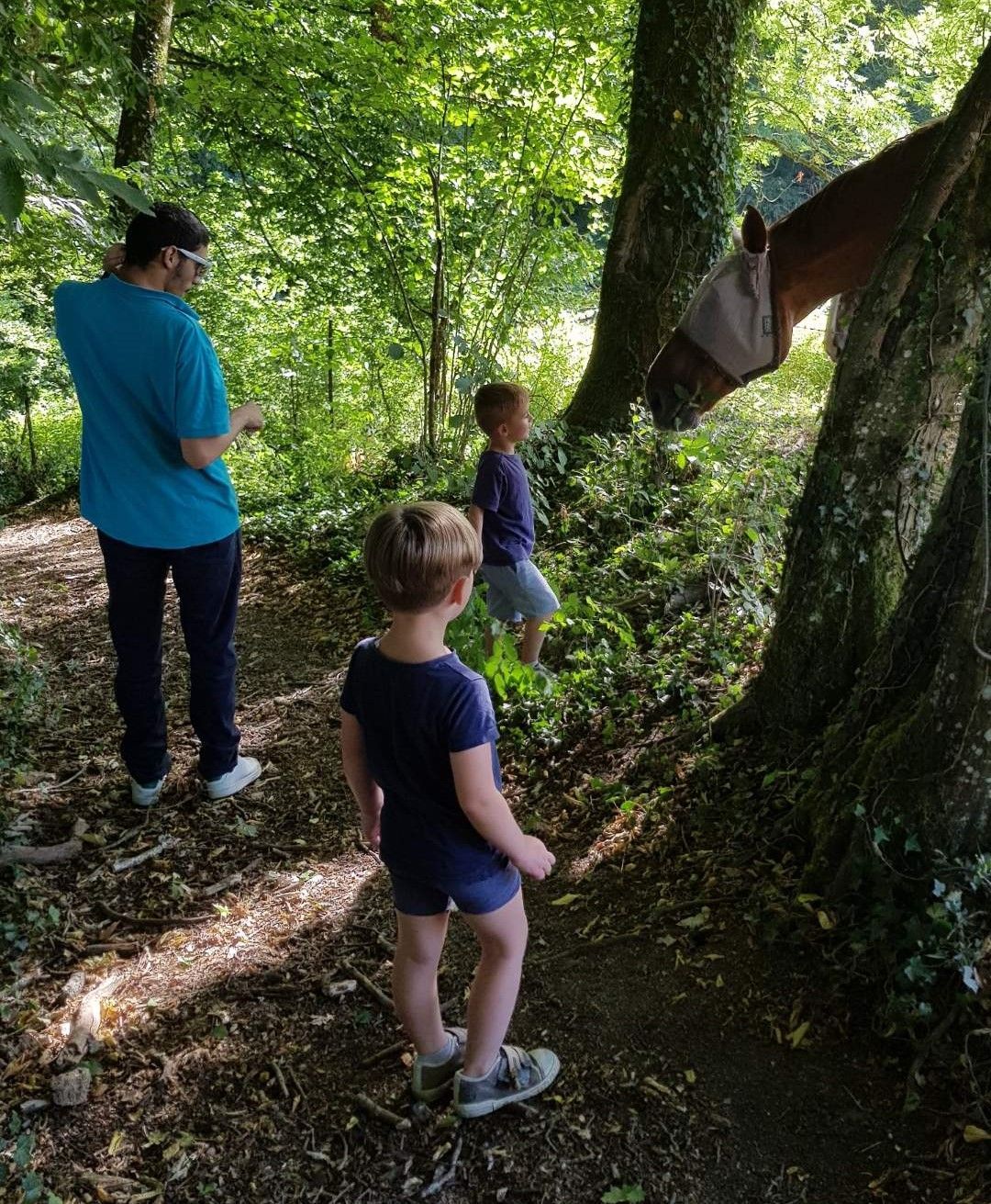 Promenade avec les enfants pour rendre visite aux chevaux