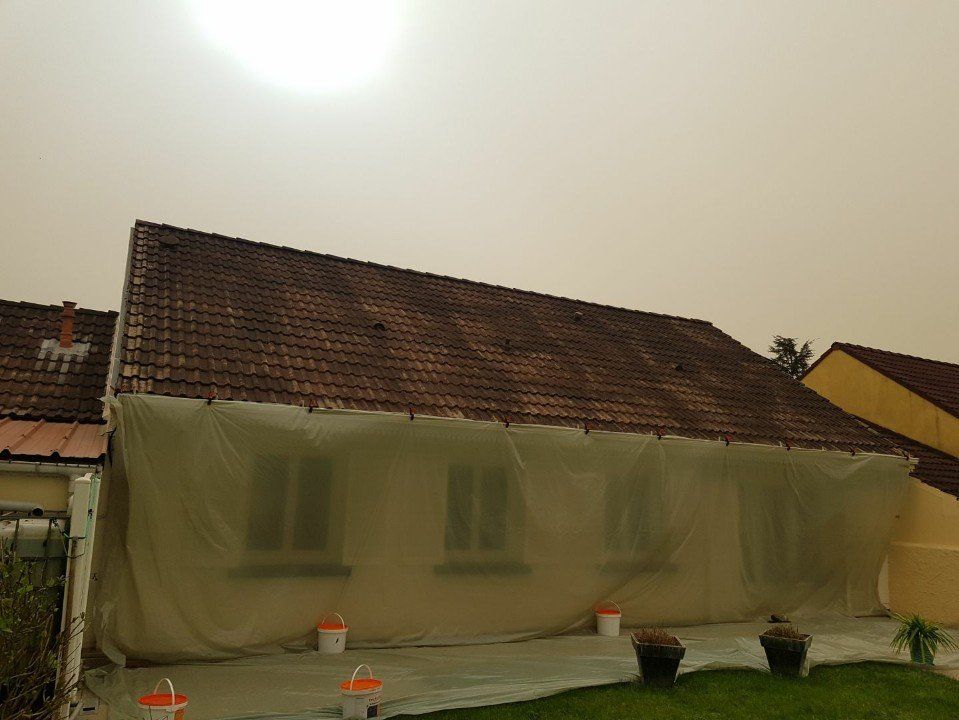 Démoussage de toiture Saint-André-les-Eaux