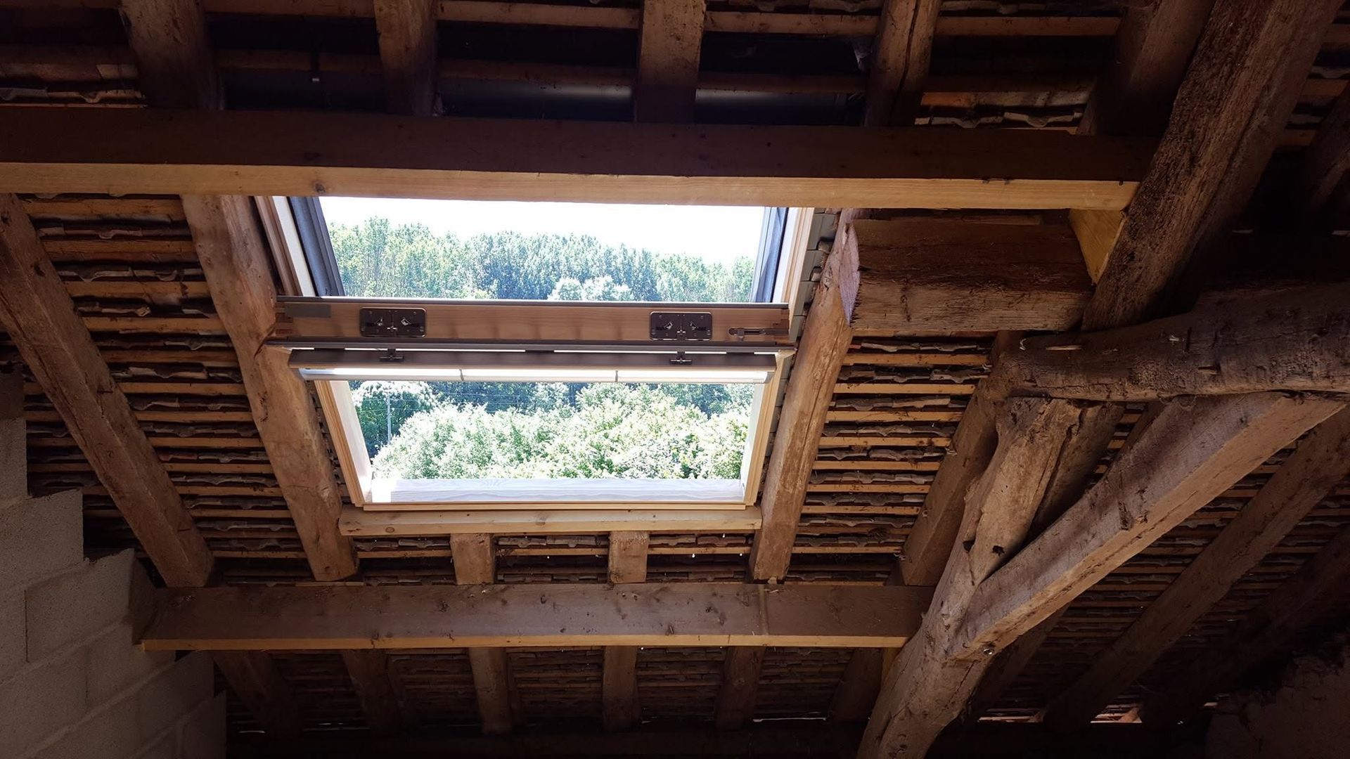Plafond en bois avec une lucarne carrée encadrant des arbres d'un vert éclatant à l'extérieur.
