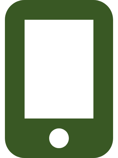 raflesolutions