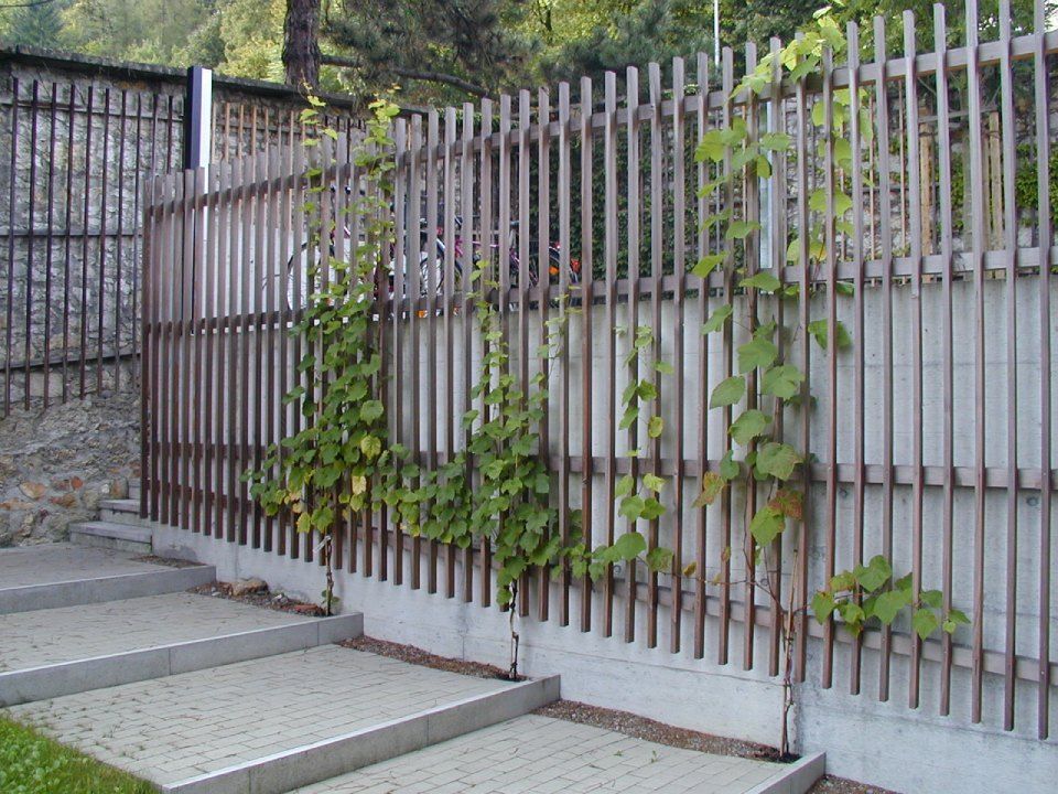 Eine Stützmauer aus Beton mit einem vertikalen Zaun aus Holzlatten, an denen mehrere grüne Kletterpflanzen emporwachsen.