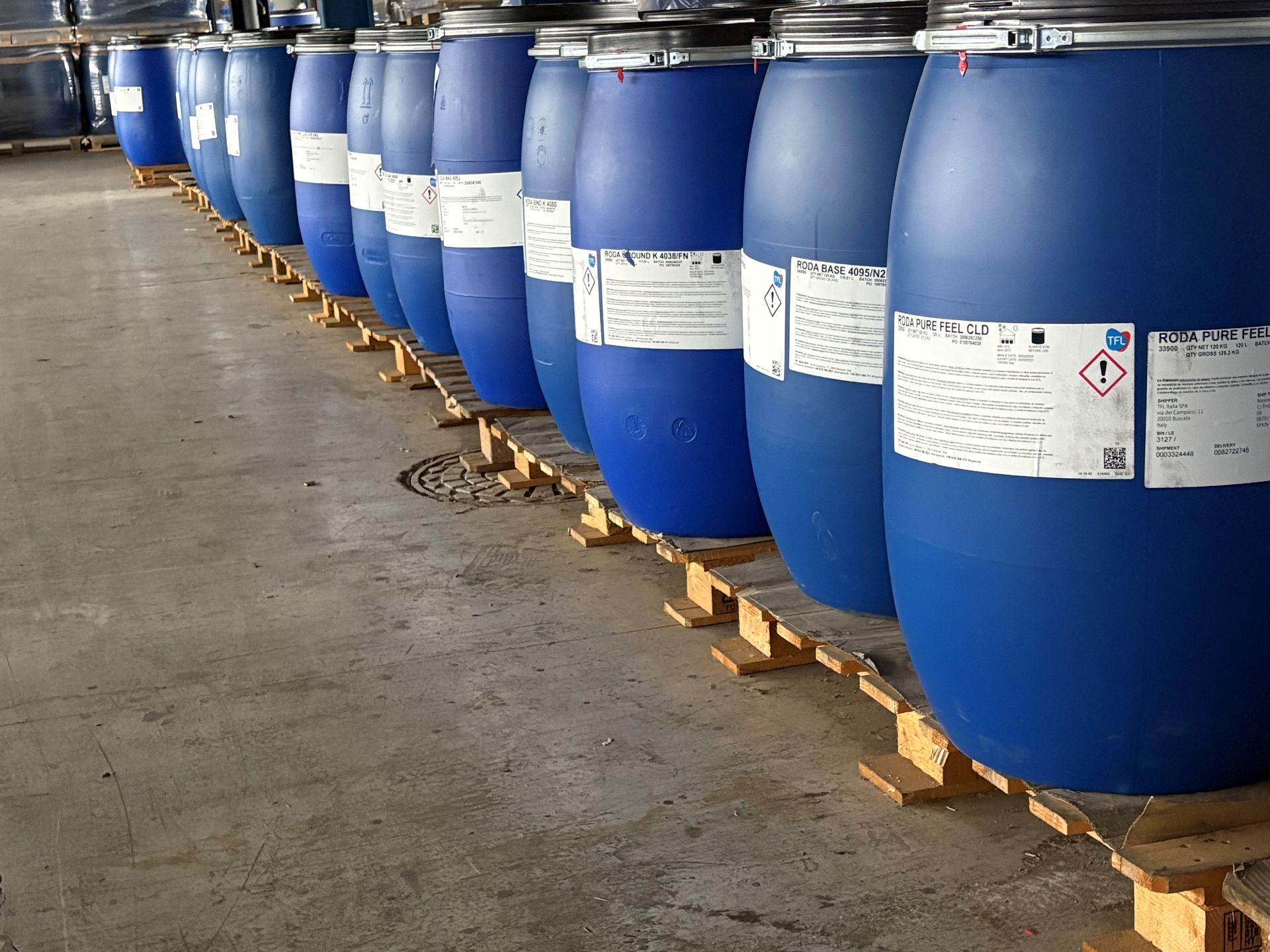 Un campo de maíz con el sol brillando a través de las hojas.