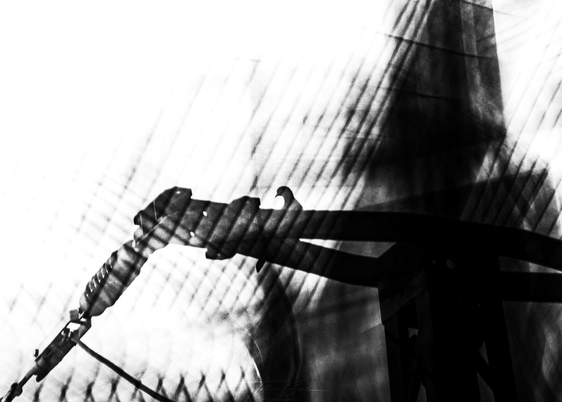 Schwarzweißfoto einer Stadttaube, die auf einem mechanisches Bauteil vor einem gemusterten, schattigen Hintergrund sitzt.