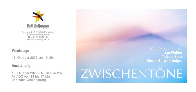 aktuelle Ausstellung