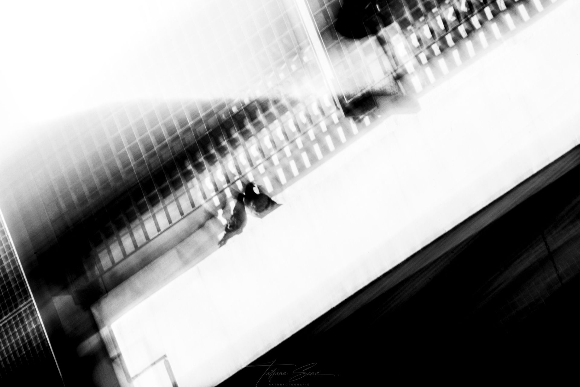 Abstraktes Schwarzweißfoto der Außenseite eines Gebäudes mit Bewegungsunschärfe und diagonalen Linien
