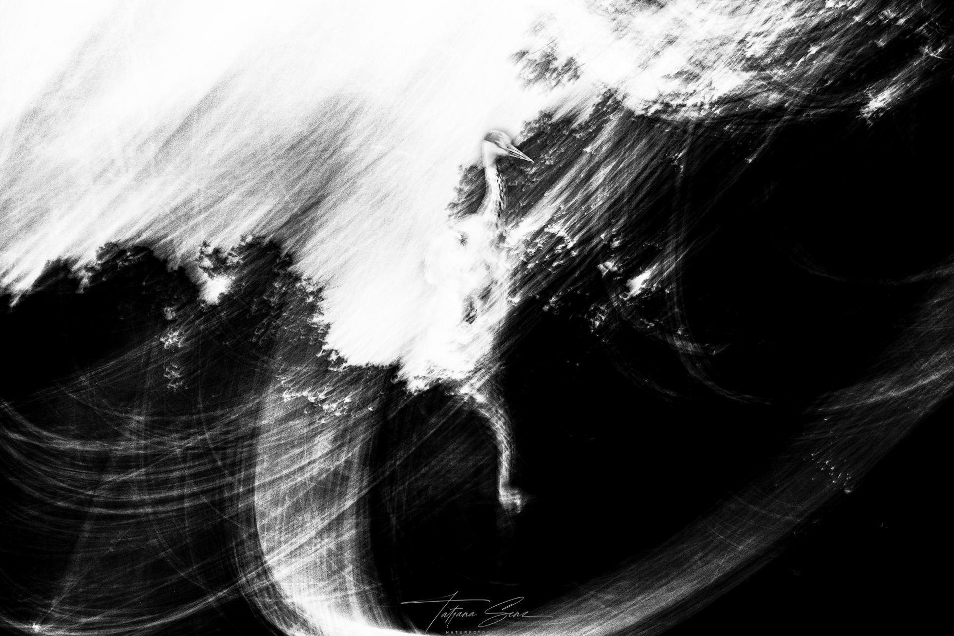 Abstrakte Schwarz-Weiß-Kunst; helle Streifen und dünne Wolkenformen vor einem dunklen Hintergrund