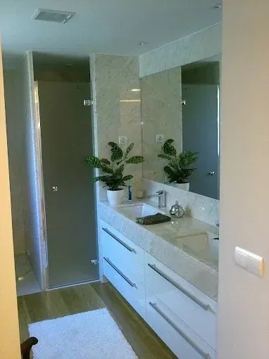 Baño estrecho con tocador de doble lavabo, espejo grande, armarios blancos y una planta sobre la encimera.