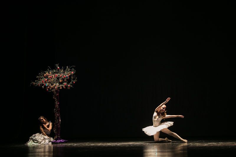 Σχολή χορού Χορολόγιον Μαρία Σταματάκη