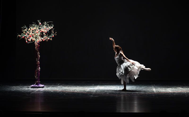 Σχολή χορού Χορολόγιον Μαρία Σταματάκη