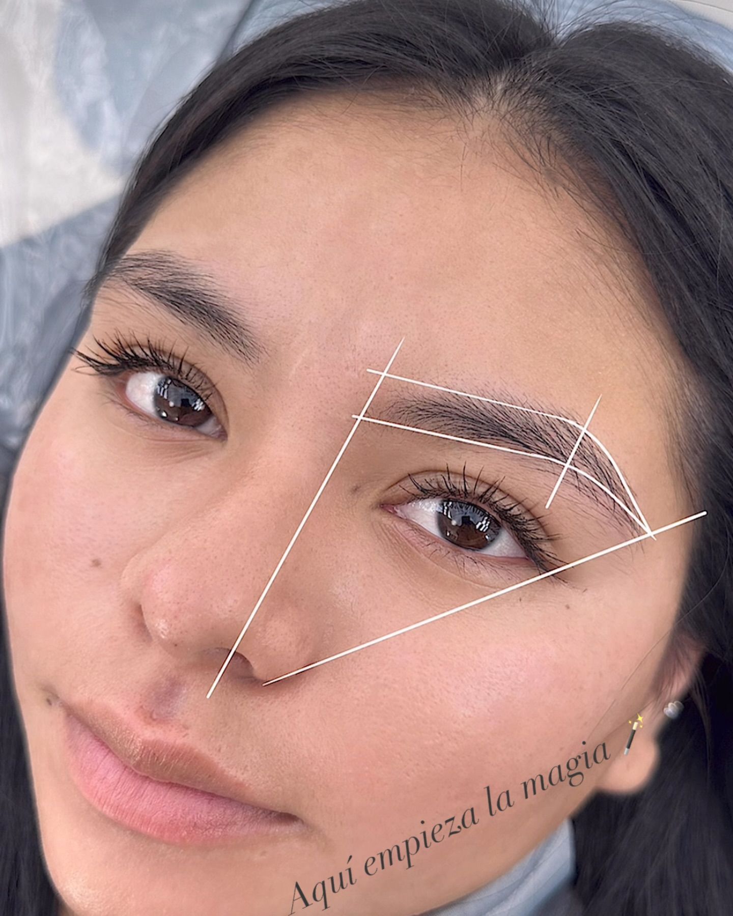 Un primer plano del rostro de una mujer con un diagrama de sus cejas.