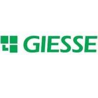 Logo GIESSE