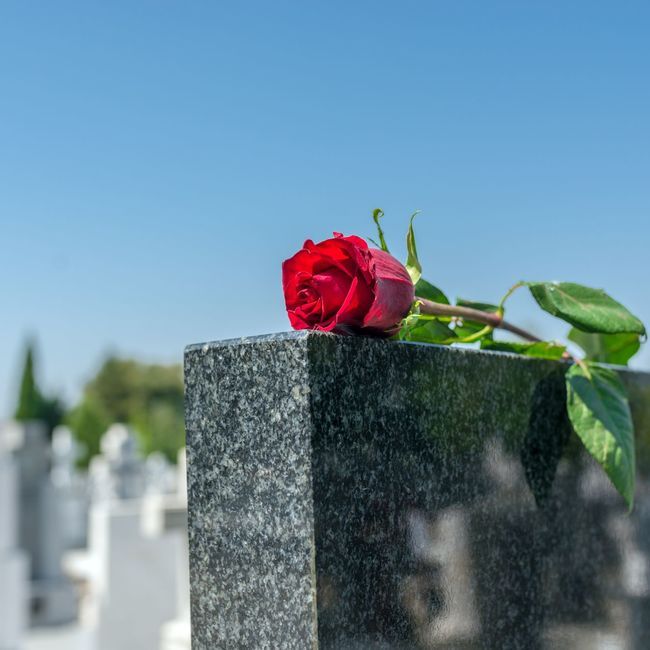 Eine rote Rose liegt auf einem Grabstein auf einem Friedhof.