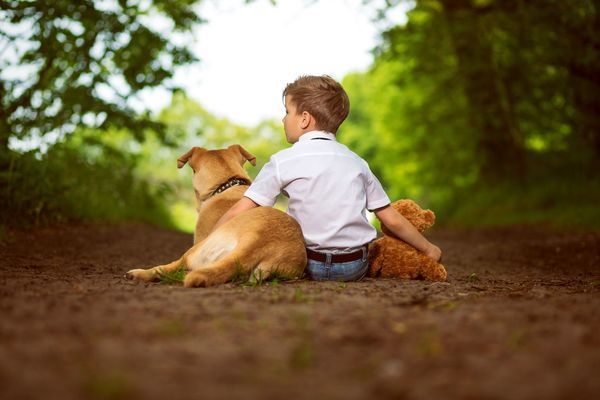 Ein kleiner Junge sitzt mit einem Hund und einem Teddybär auf dem Boden.