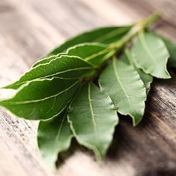 Ein Bündel grüner Blätter liegt auf einem Holztisch.