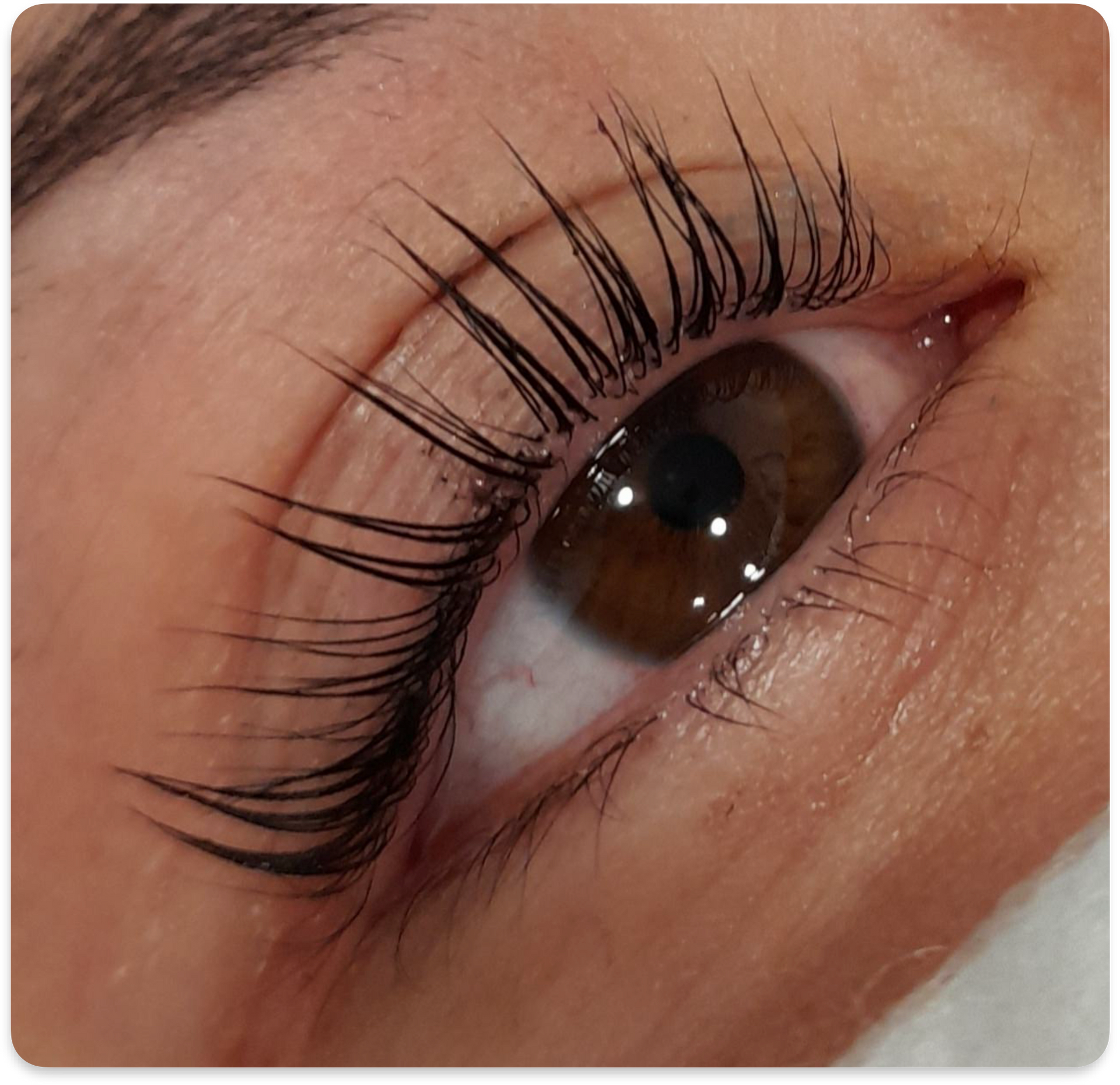 Un primer plano del ojo de una mujer con pestañas largas.