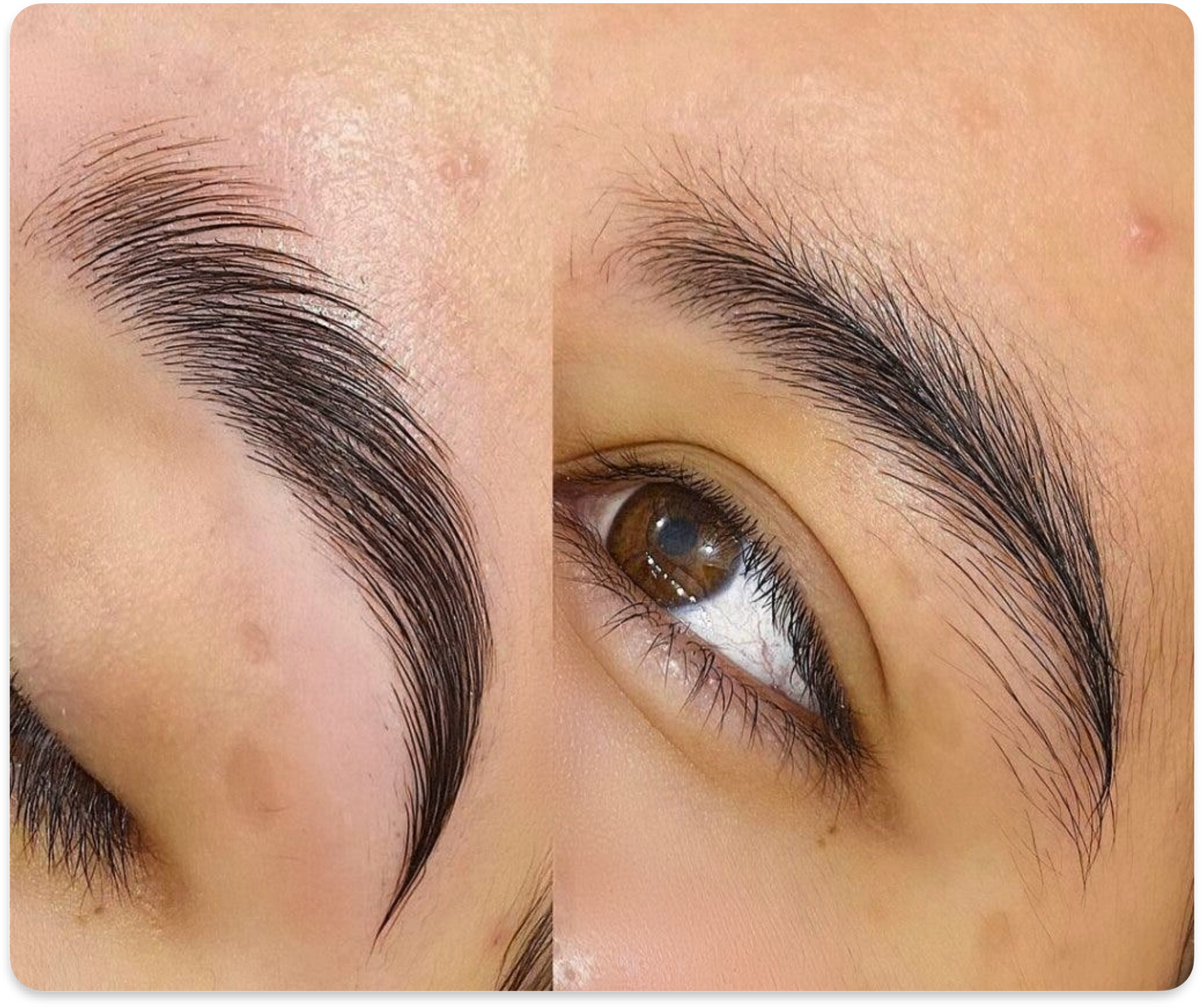 Un primer plano de las cejas y el ojo de una mujer.