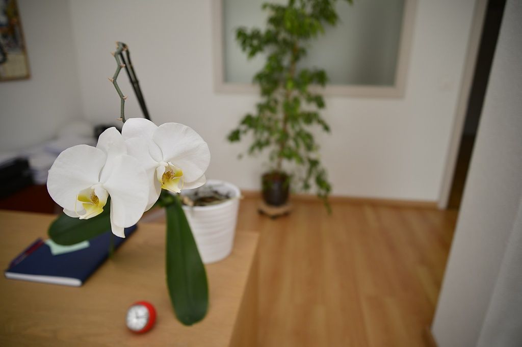 Décoration - Cabinet d'Ostéopathie de la Jonction à Marly