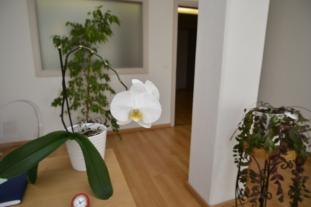 Décoration - Cabinet d'Ostéopathie de la Jonction à Marly