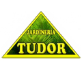 logotipo cabecera