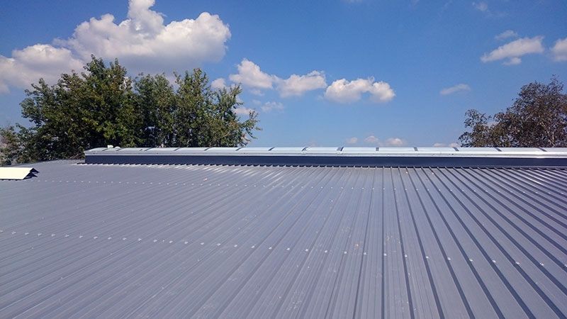 Michael Weigand GmbH