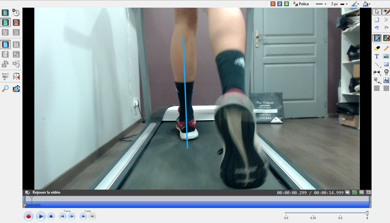 Capture Dartfich pied gauche