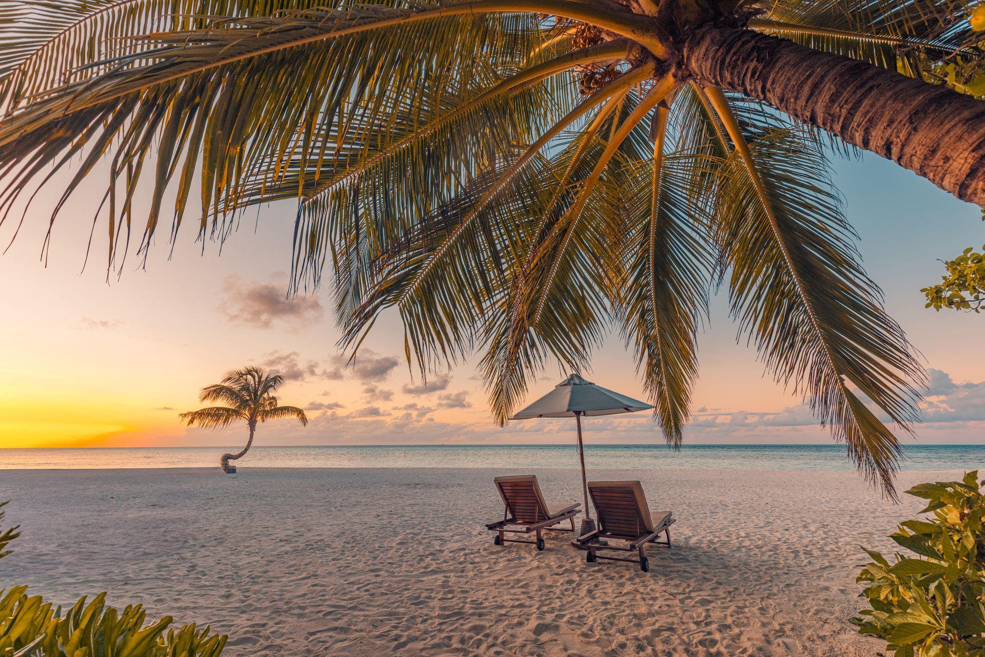 Honeymoons