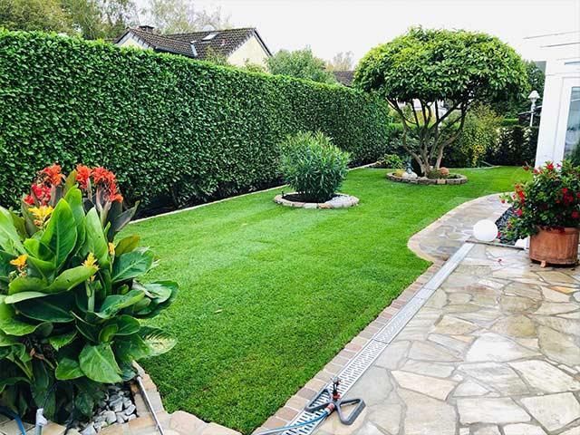 Ein üppiger grüner Rasen mit einem Steinweg und einer Steinterrasse.
