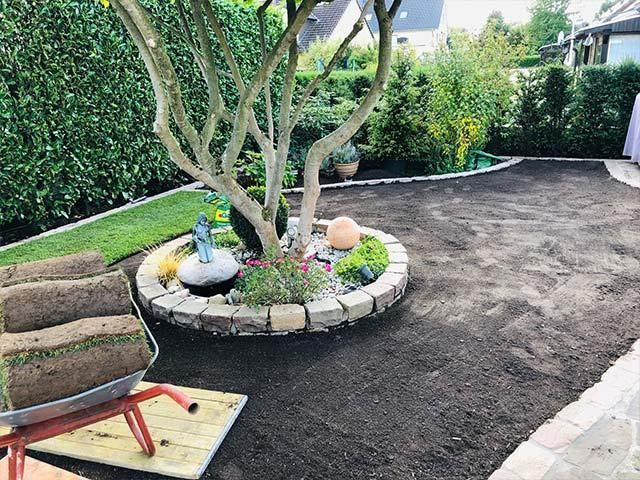 Eine mit Erde gefüllte Schubkarre steht in einem Garten neben einem Baum.