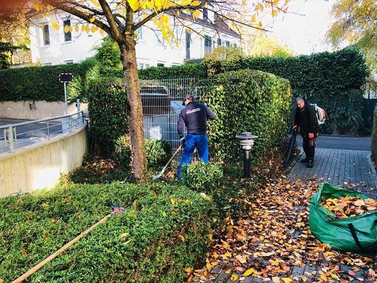 Ein Mann harkt in einem Hof ​​Laub zusammen. Im Vordergrund steht ein Sack mit Laub.