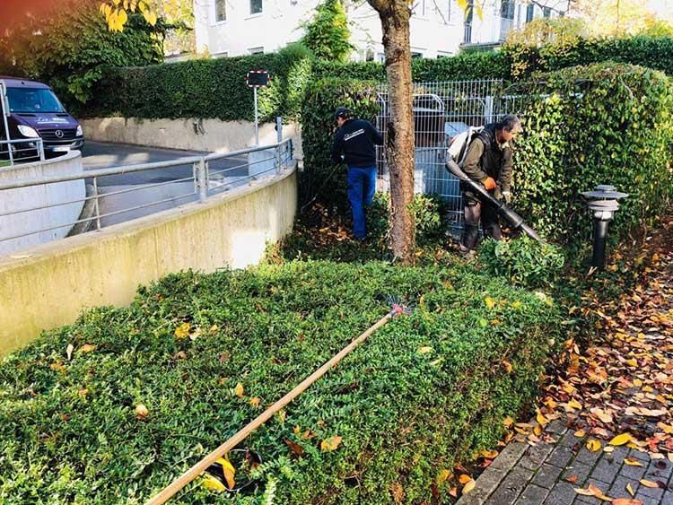 Ein Mann schneidet mit einem Rasenmäher einen Busch.