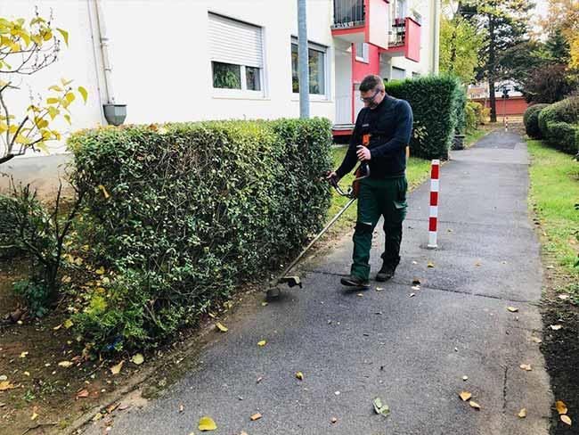 Ein Mann schneidet mit einem Rasenmäher eine Hecke auf einem Gehweg.