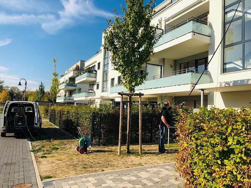Ein Mann säubert einen Baum vor einem Gebäude
