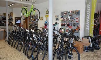 In einem Fahrradladen stehen mehrere Fahrräder aufgereiht.