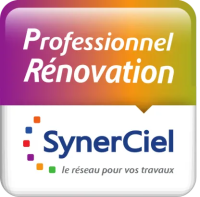 Logo : Professionnel Rénovation Synerciel.