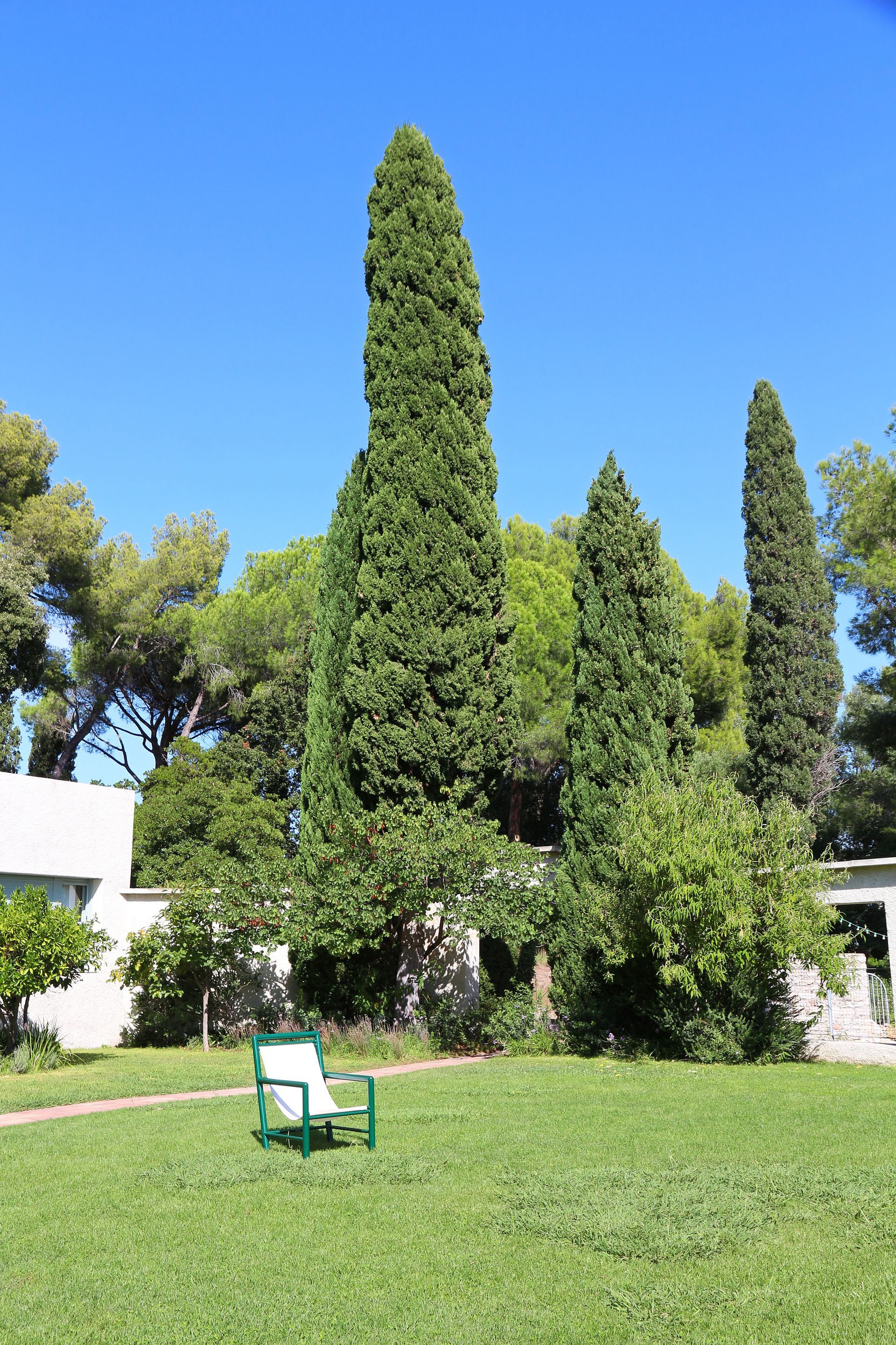 Jardin entretenu