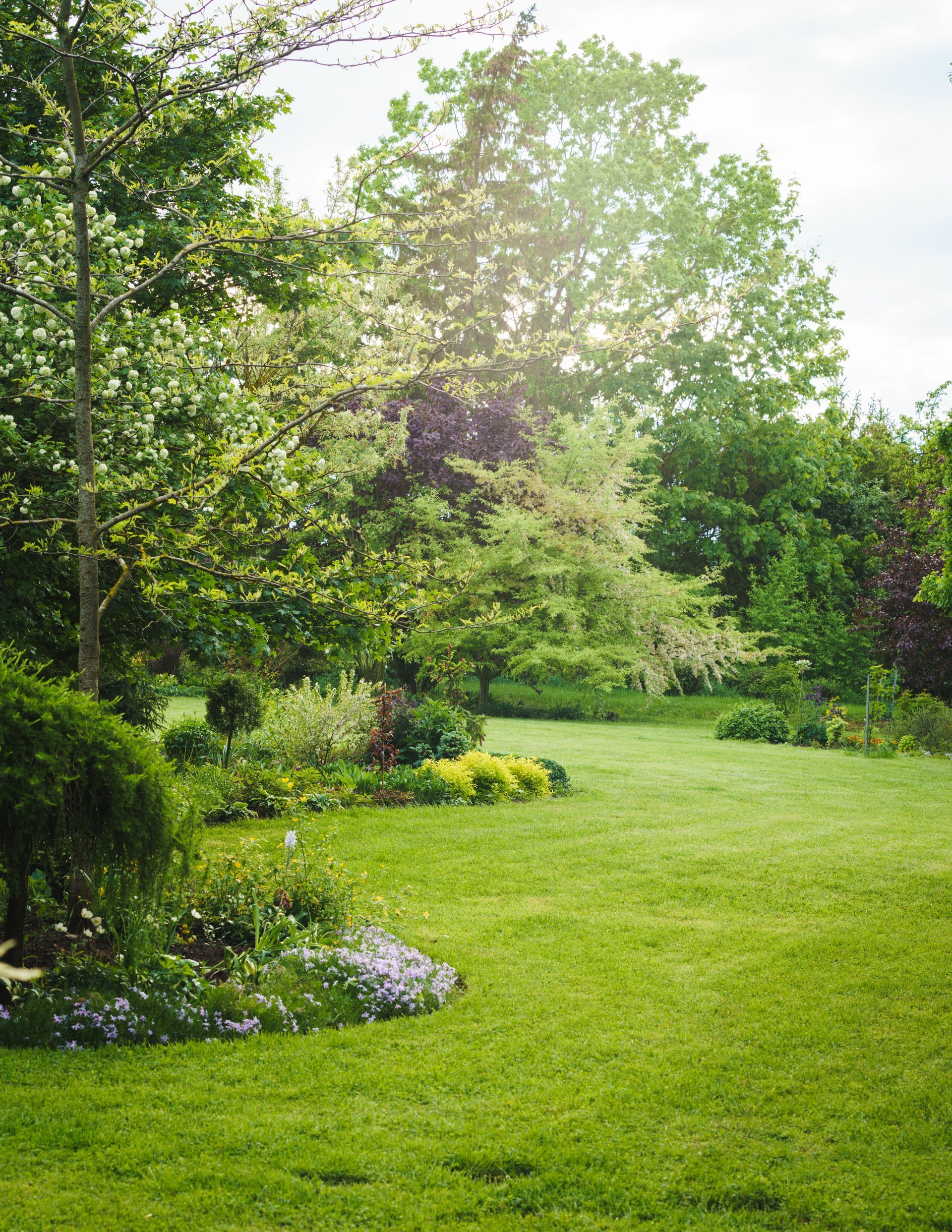 Jardin tondu