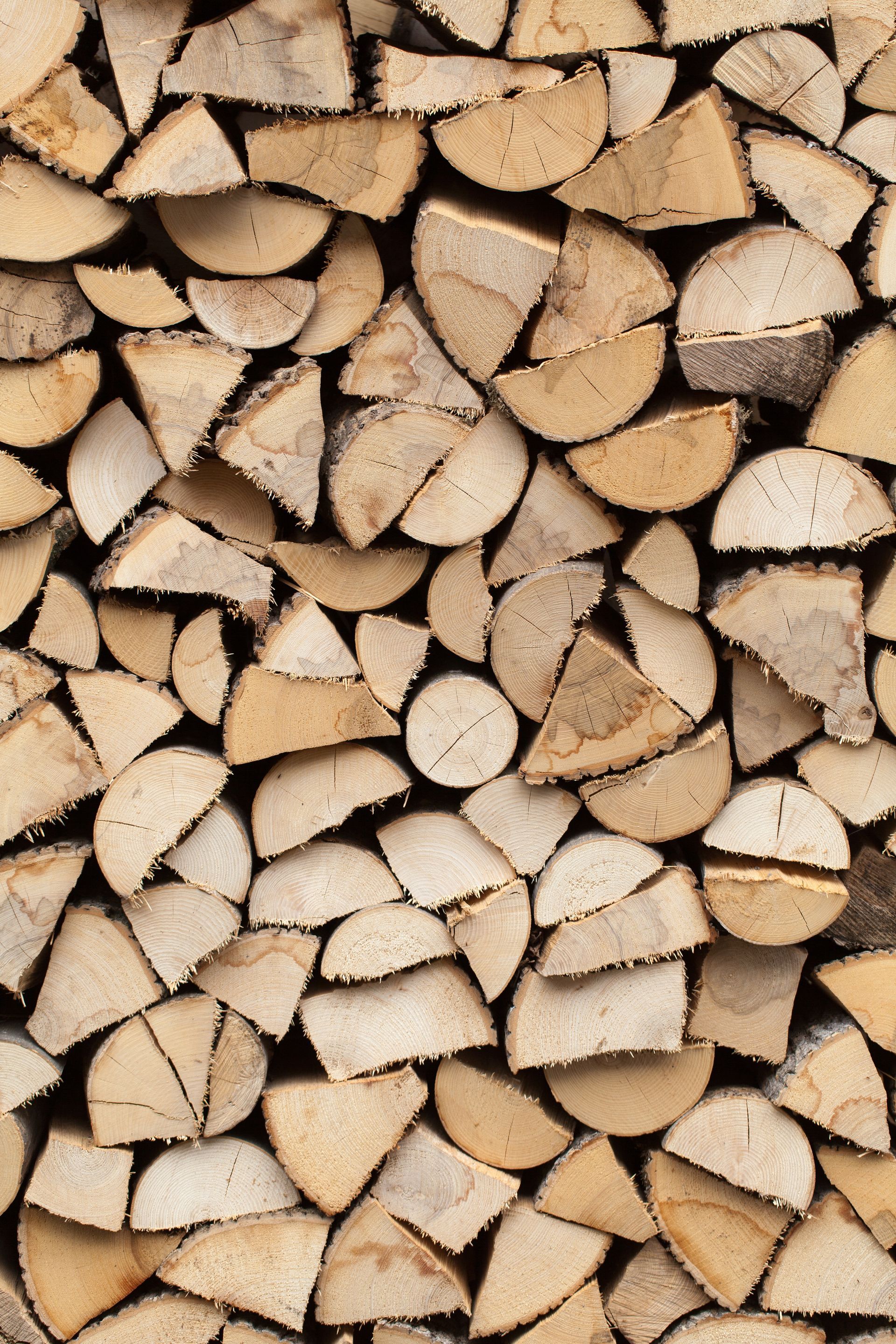 Découpe de bois