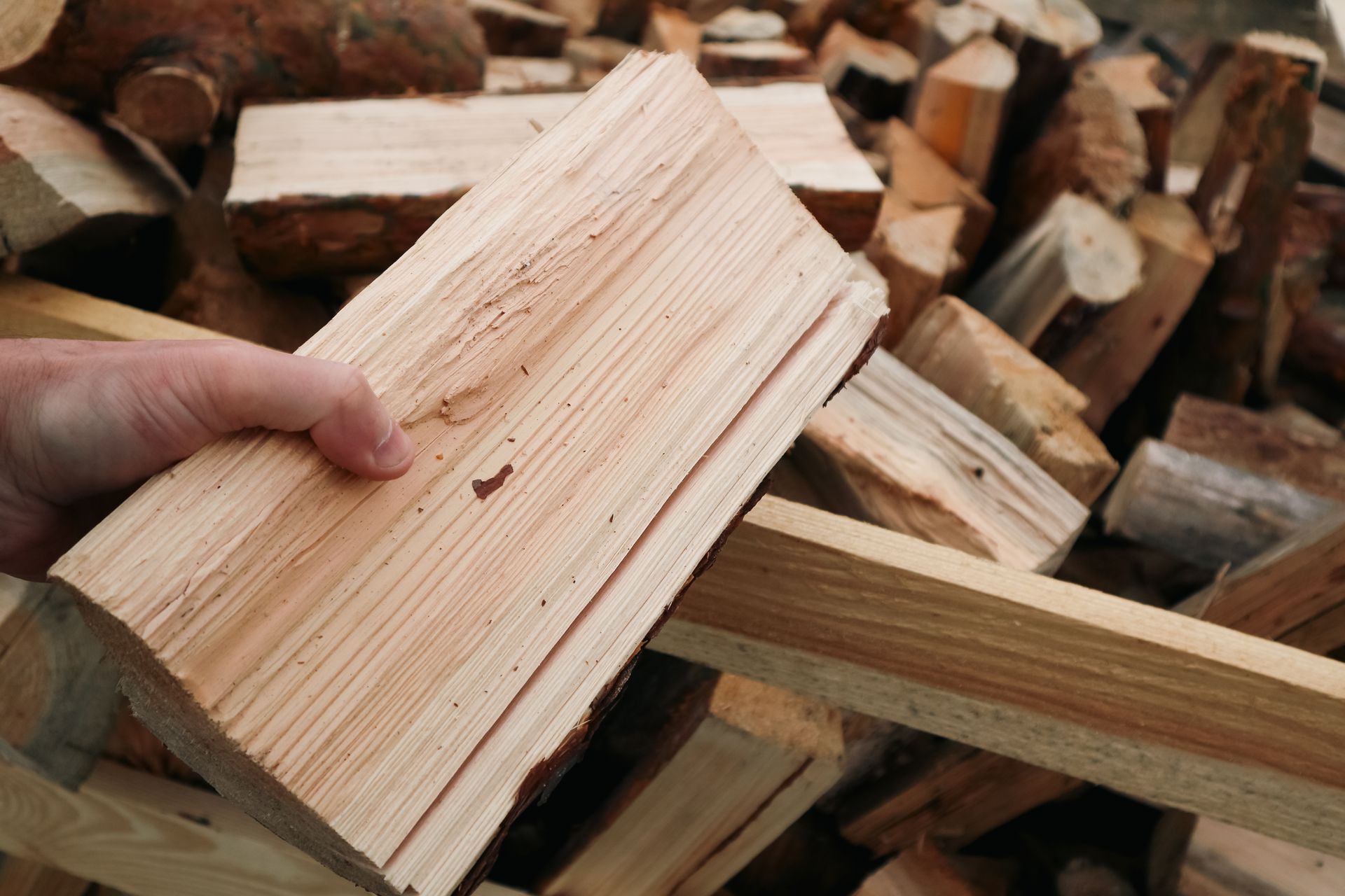 Tronçons de bois