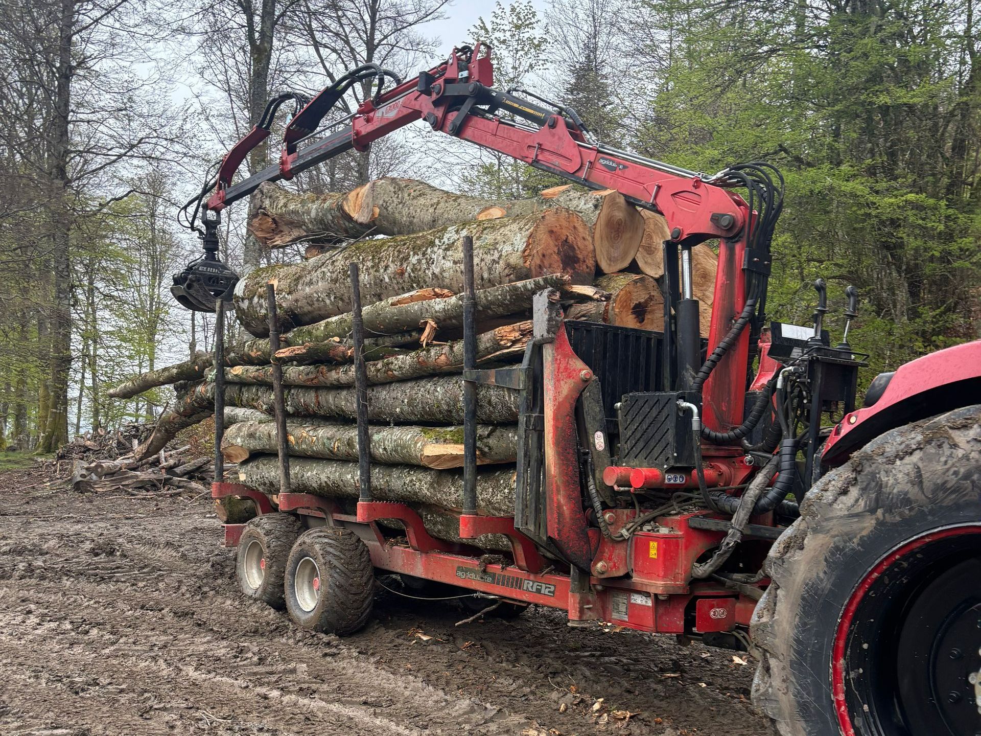 Tracteur forestier