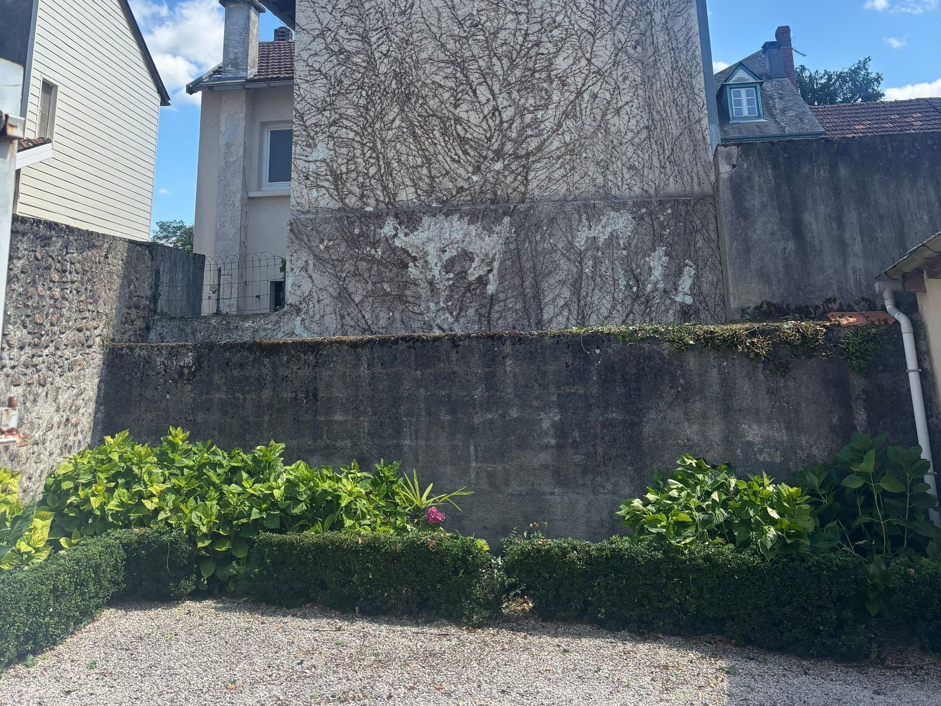 Jardin avec bordures définies