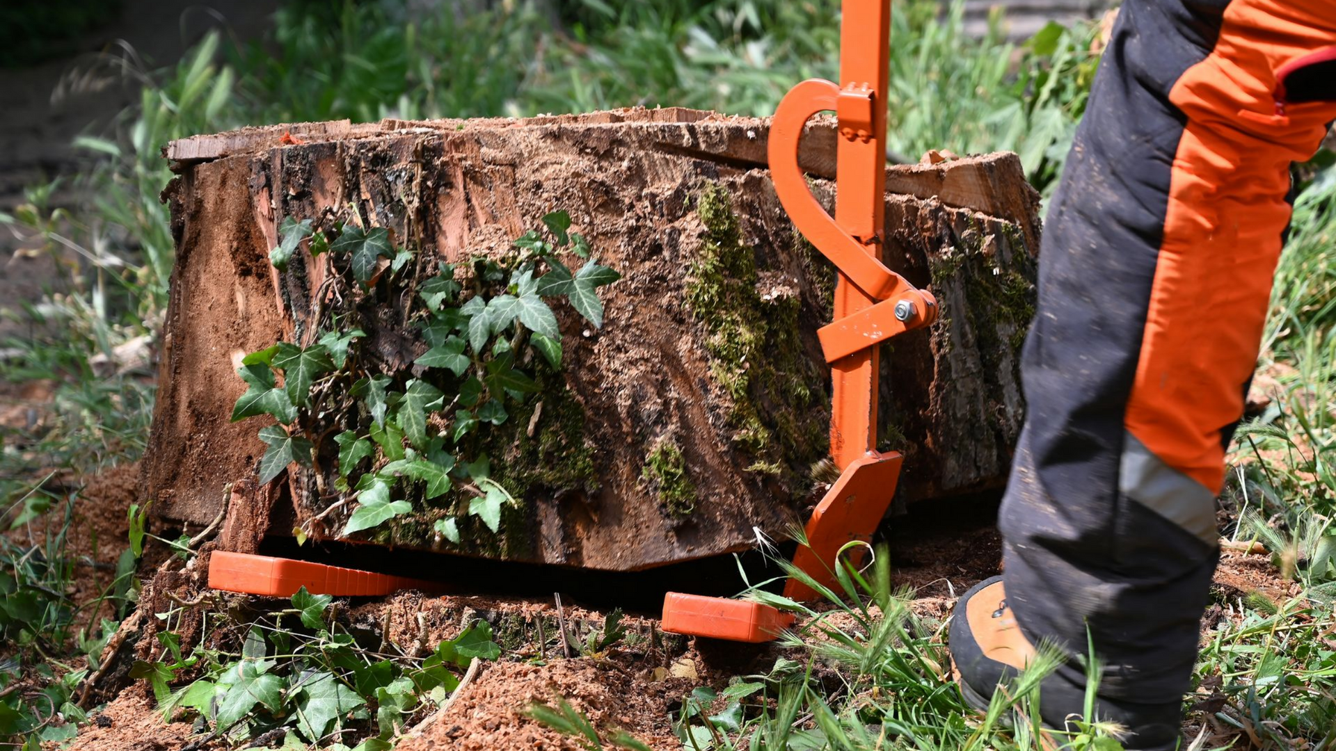 Retirer une souche manuellement