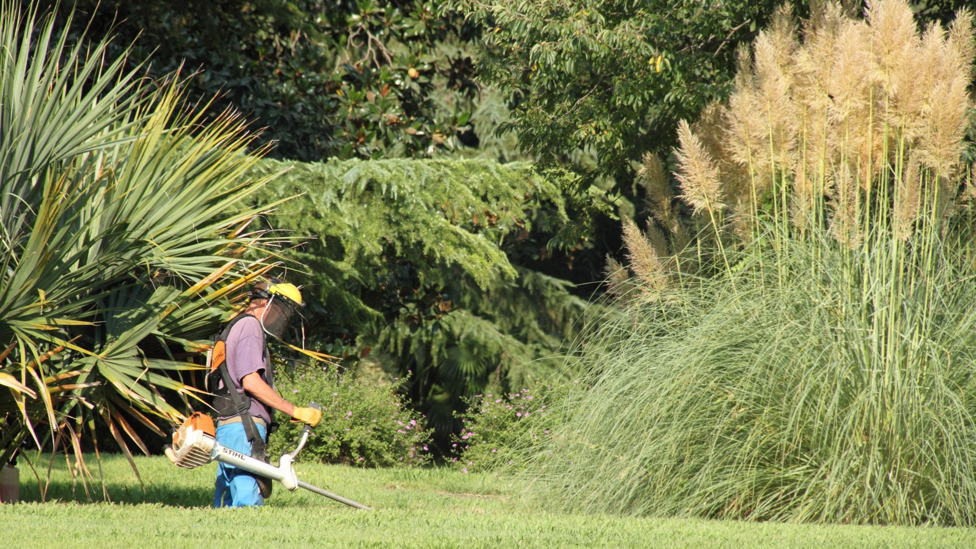 Débroussaillage d'un jardin
